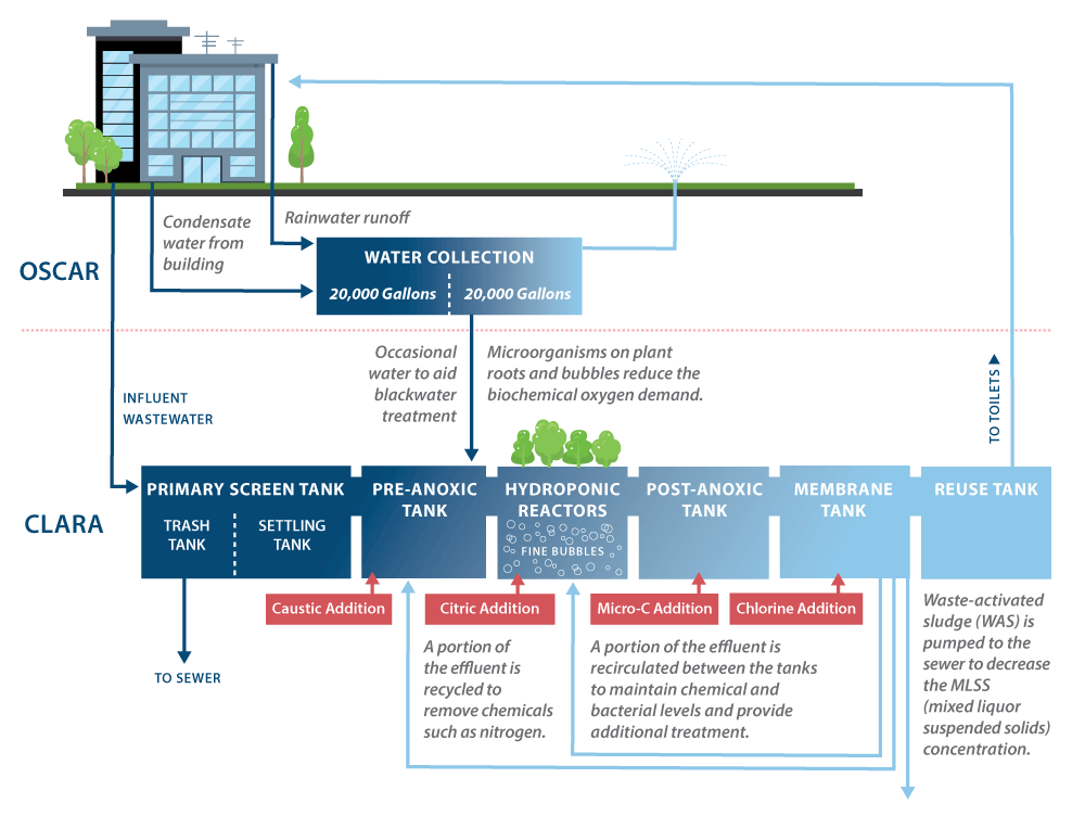 OSCAR and CLARA system processes